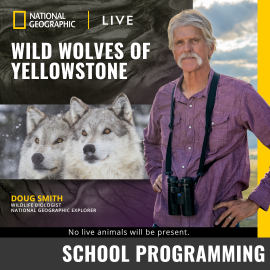 Promotional graphic for National Geographic Live Wild Wolves of Yellowstone. Test reads: “Doug Smith, Wildlife Biologist, National Geographic Explorer.” Image shows a wildlife expert standing outdoors with binoculars, alongside an image of two wolves in snowy terrain, with note: “No live animals will be present.” Event labeled as School Programming.